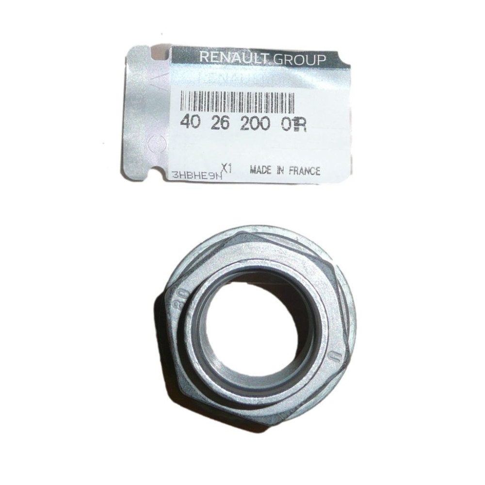 PIULITA SIGURANTA ROATA FATA