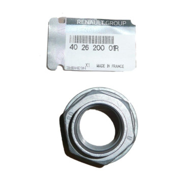 PIULITA SIGURANTA ROATA FATA