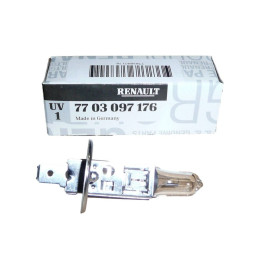BECURI AUTO 12V 55W